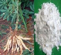 磷酸酯雙淀粉在江蘇無錫金陵塔公司的應用與發(fā)展